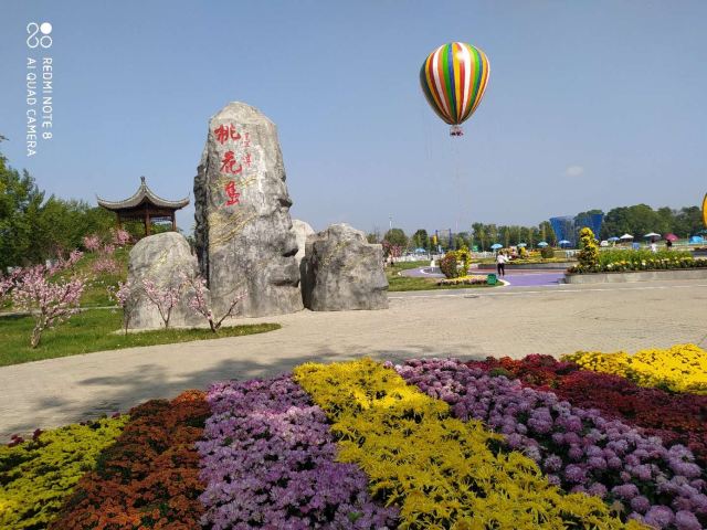吉水墨潭桃花岛攻略,吉水墨潭桃花岛门票/游玩攻略/地址/图片/门票