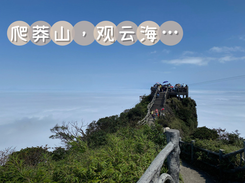 郴州莽山旅游攻略|适合全家出行的登山之旅