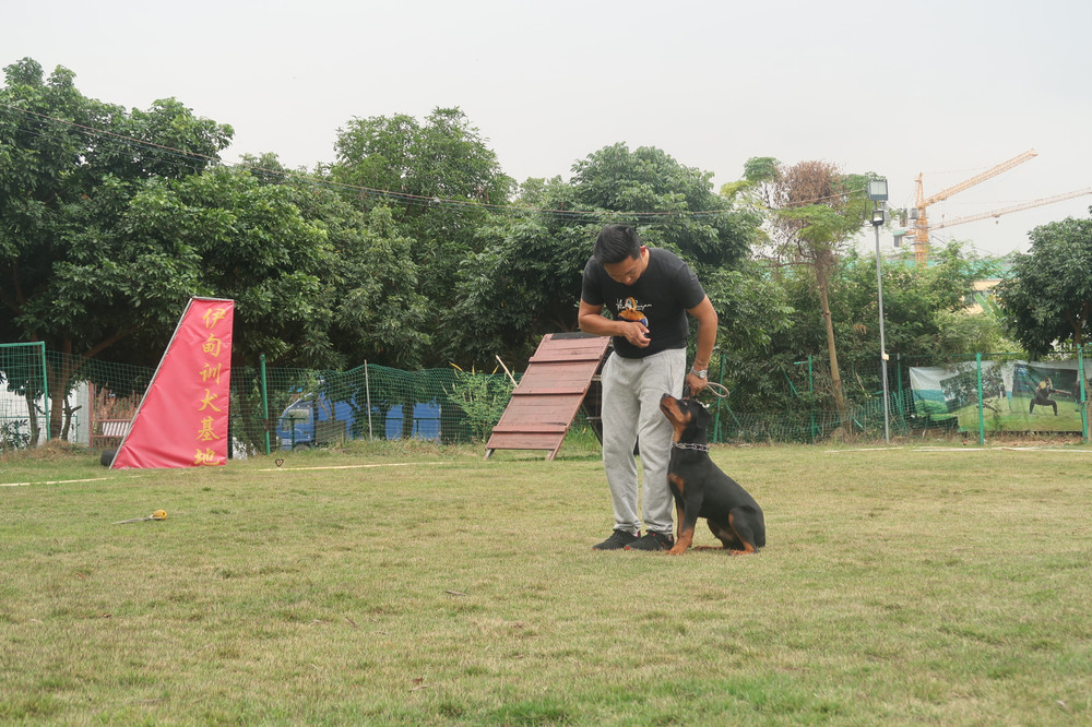 中山伊甸园训犬基地