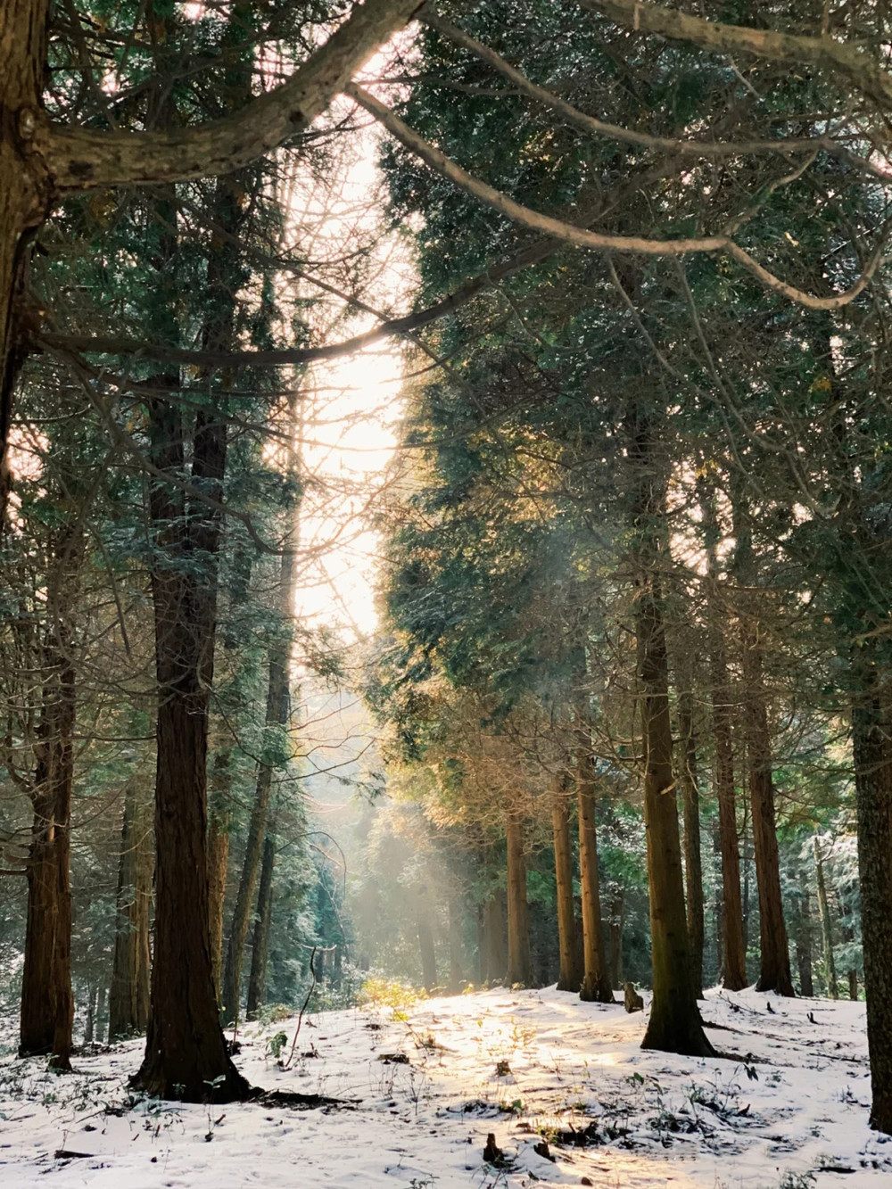 宁波西部绝美山脉,高山滑雪,雾凇森林,比漠河温柔,比雪乡人少