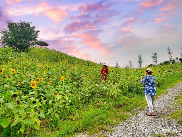 重庆静观花木生态旅游区攻略,重庆静观花木生态旅游区