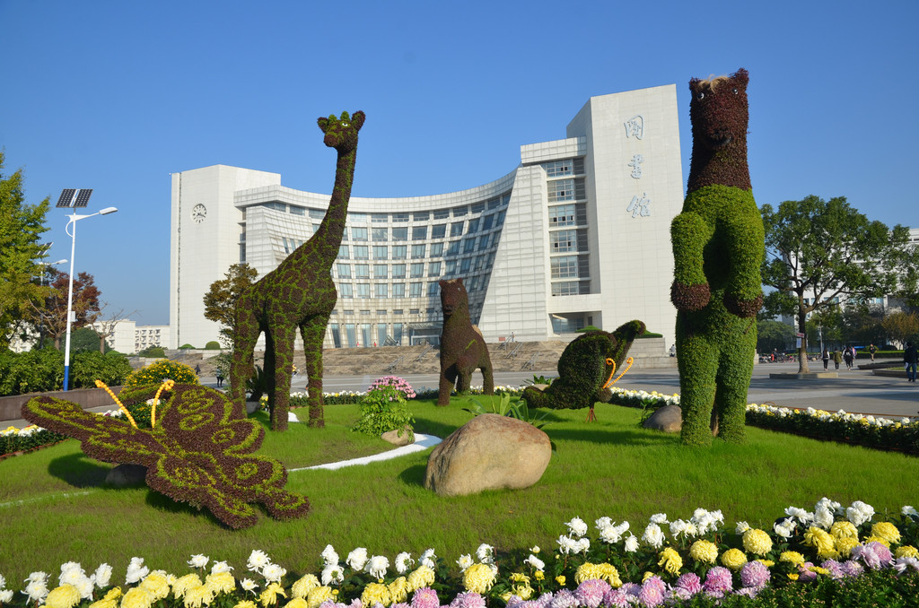上海大学宝山校区第十四届菊文化展(五)