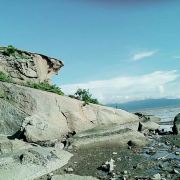 饶平海山石龟攻略-海山石龟门票价格多少钱-团购票价预定优惠-景点