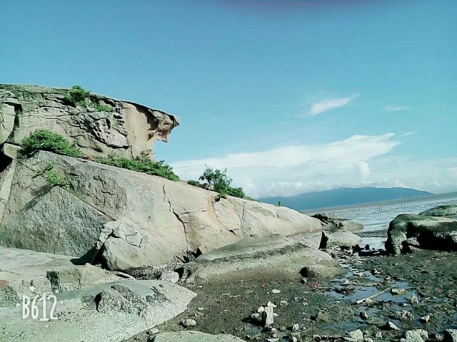 饶平海山石龟攻略-海山石龟门票价格多少钱-团购票价预定优惠-景点