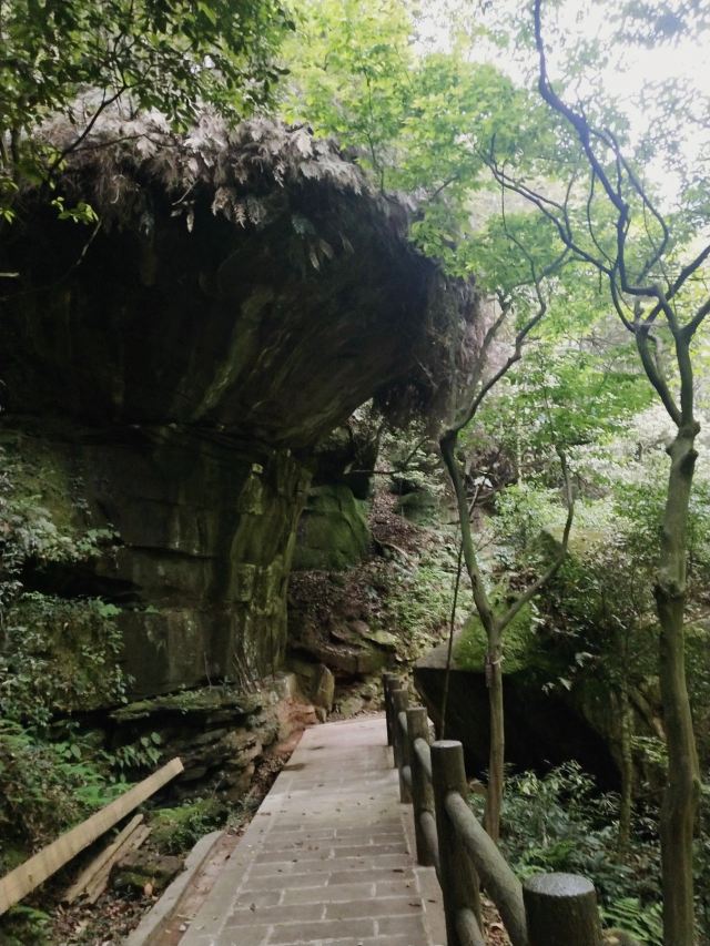 玉屏山森林度假区门票,玉屏山森林度假区门票价格,玉屏山森林度假区