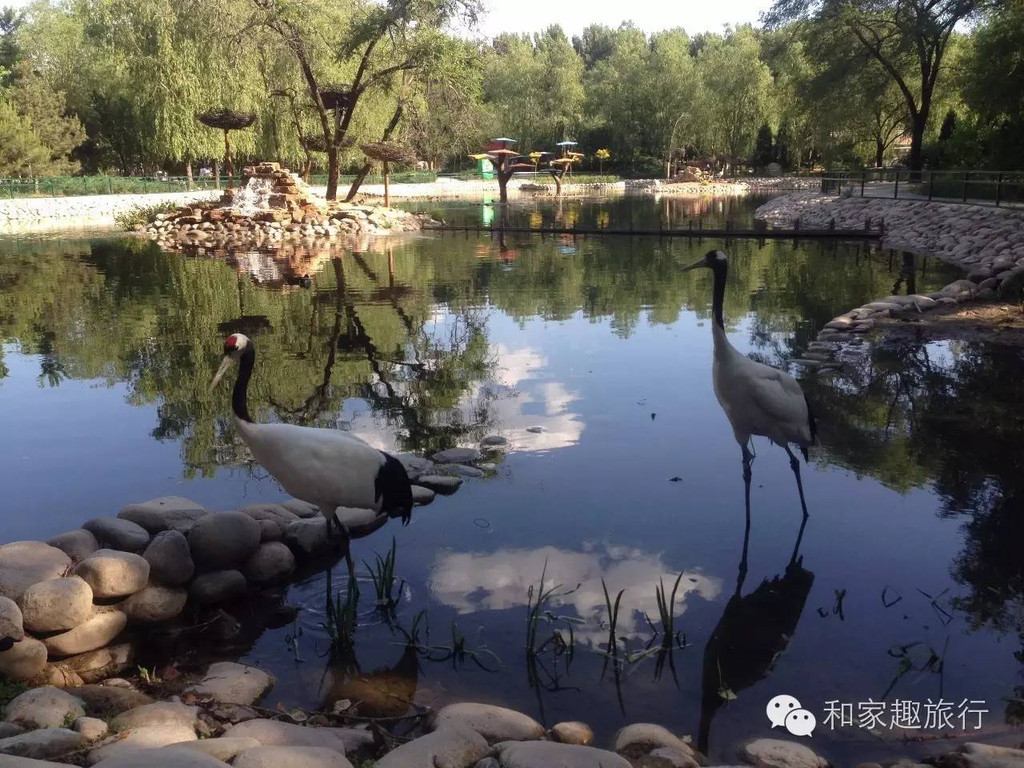 北京大兴野生动物园超实用游玩攻略