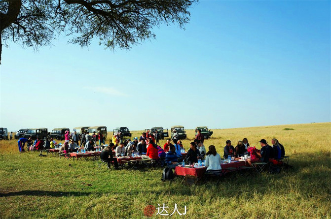 马赛马拉大草原上,真正的旅行家非他们莫属