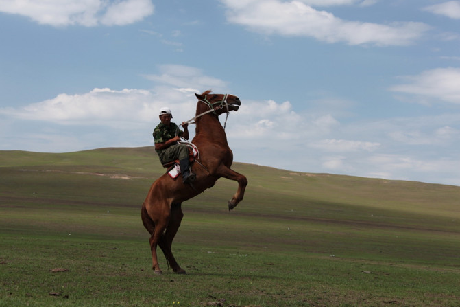 骑着马儿唱起歌--我来到呼伦贝尔大草原