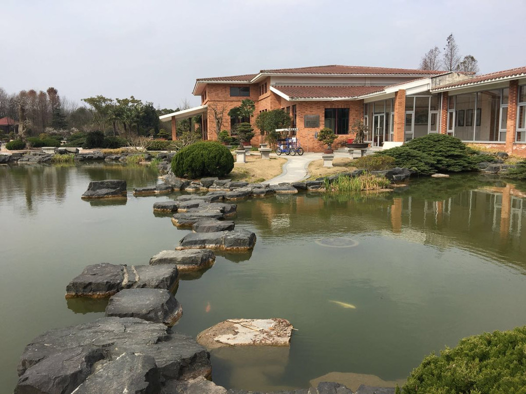 上海海湾,一个赏梅寄思情之地