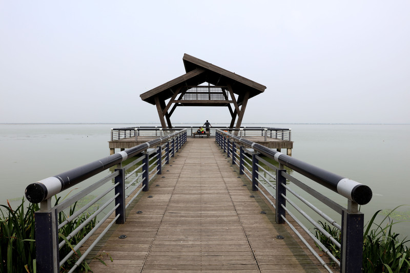 阳澄湖半岛旅游度假区莲池湖公园