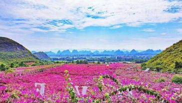 桂林花海门票,桂林花海门票价格,桂林花海门票团购【携程门票】