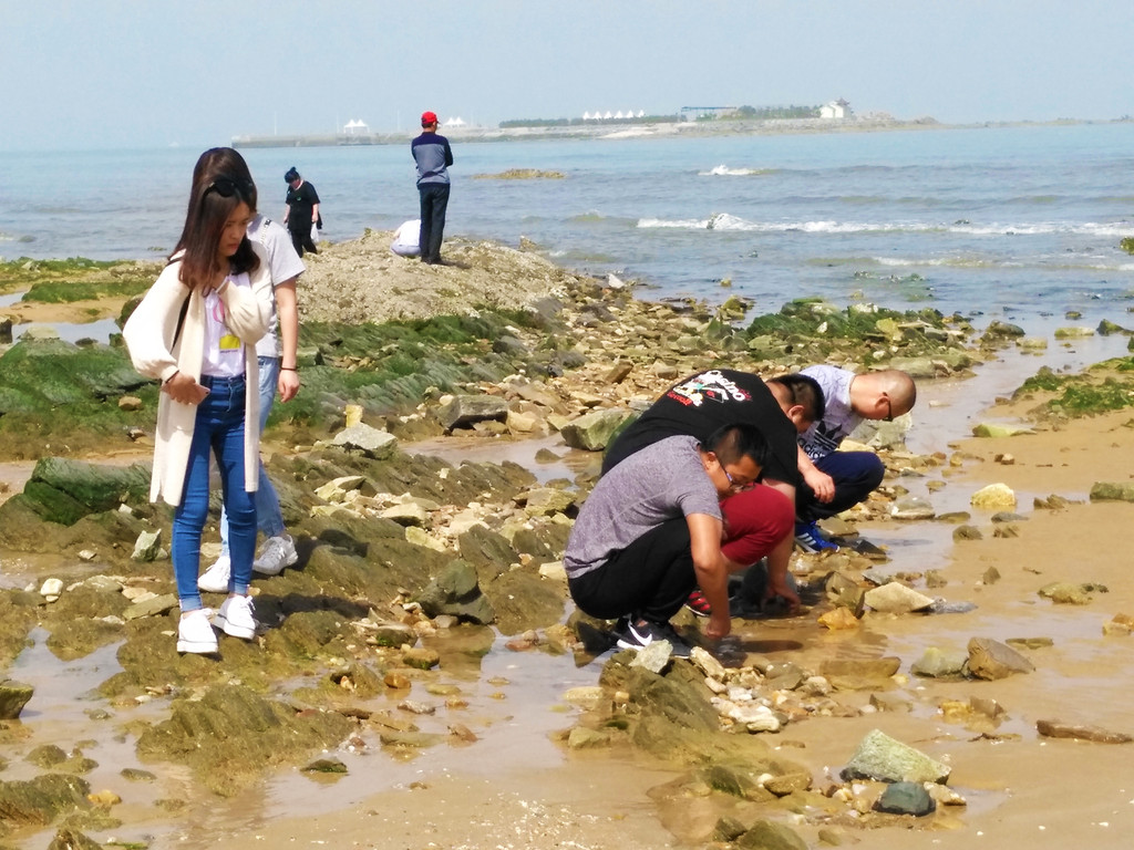 日照海边赶海渔家乐