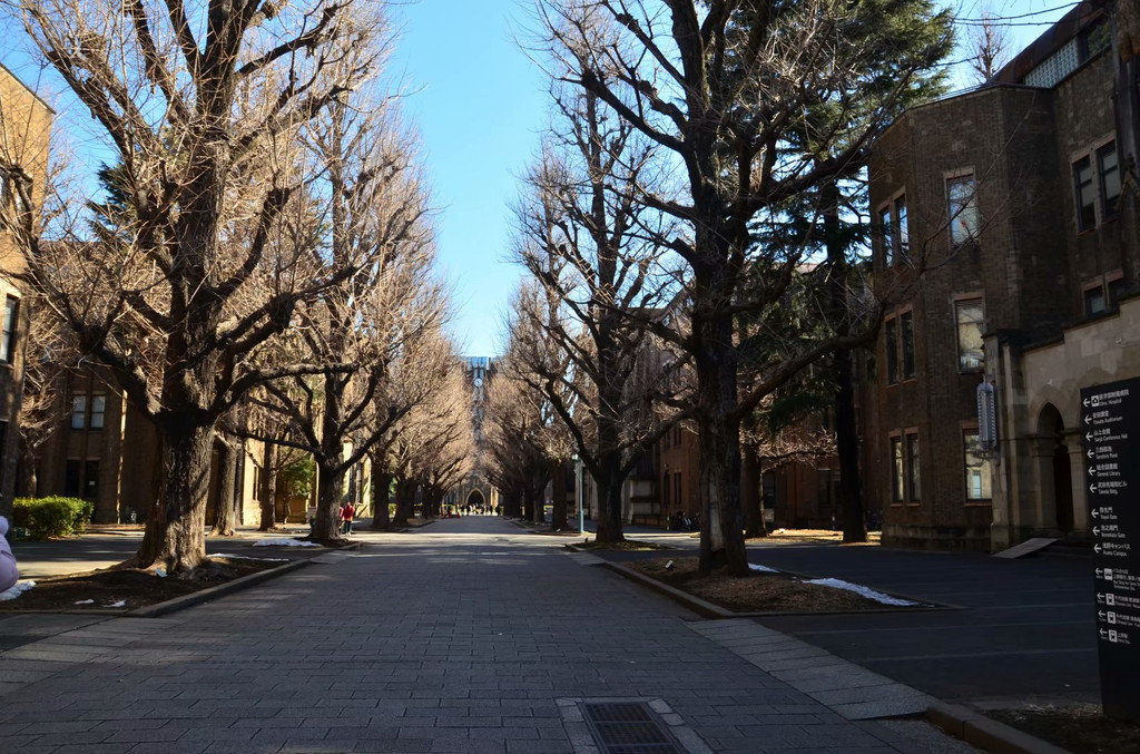 照片描述:东京大学.安田讲堂