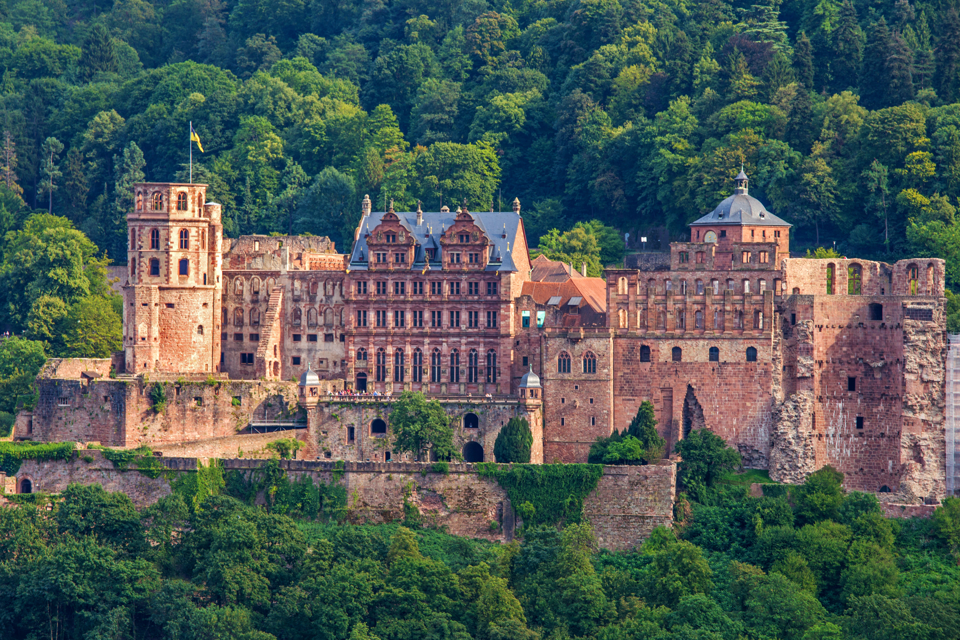 海德堡大学图片_纵览新闻