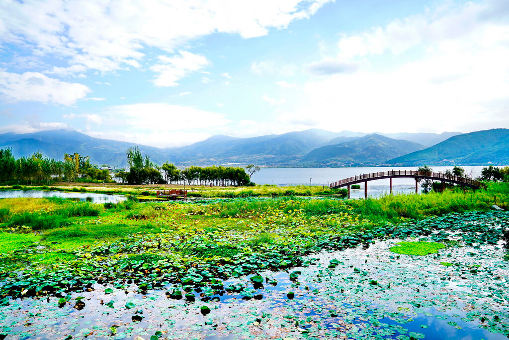 烟雨鹭洲,梦寻花海---西昌邛海周边七天休闲游