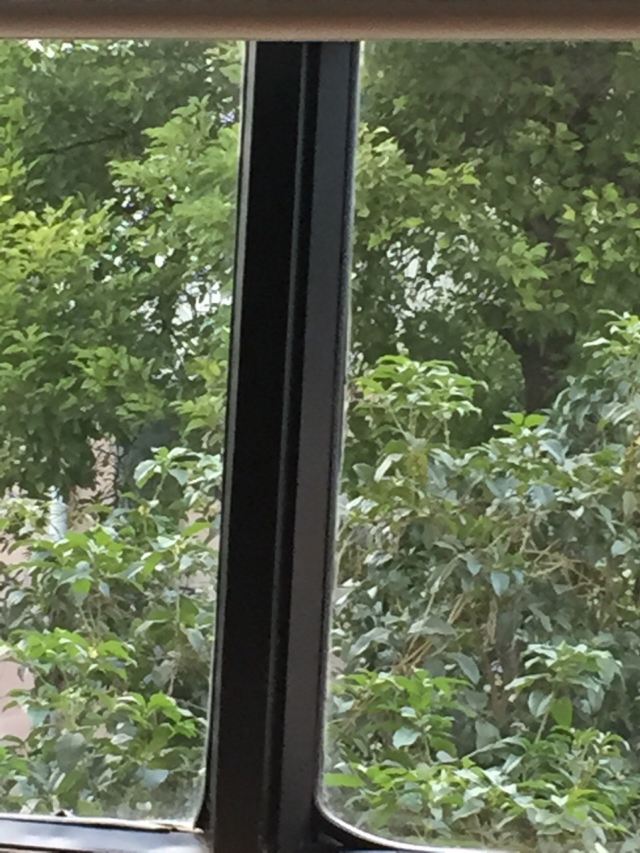 周氏微雕馆