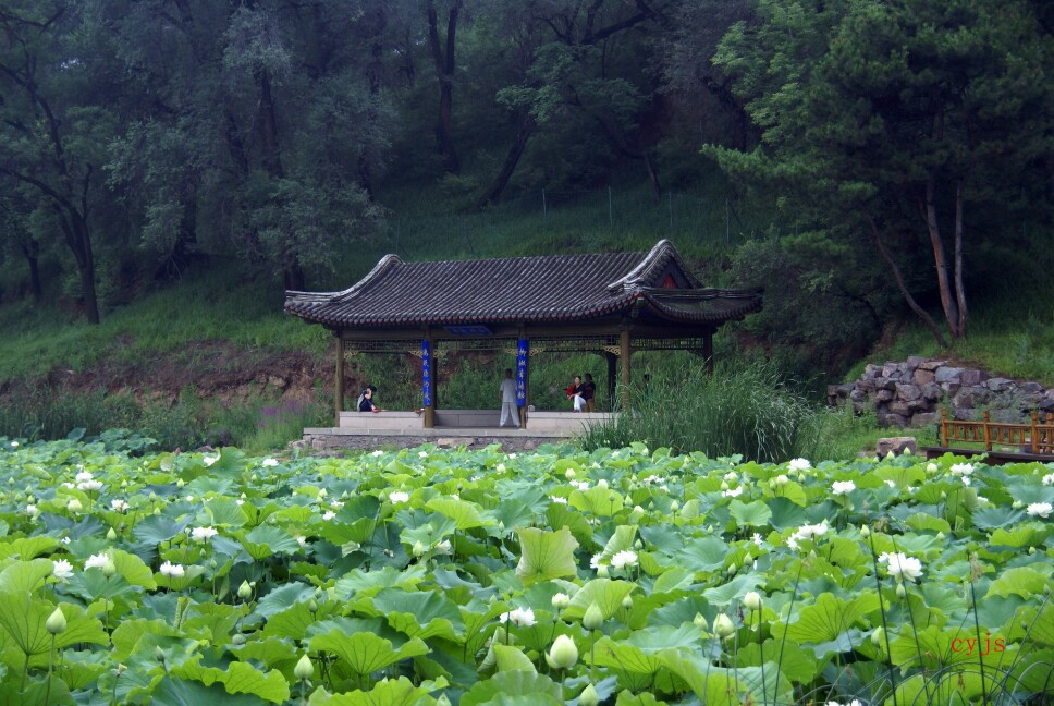 承德避暑山庄又名承德离宫或热河行宫,当地人俗称山庄。它是清朝皇帝的夏宫,始建于康熙年,建成于乾隆年,历时89年,总占地 564 公顷。山庄地貌总体为西北山区,东北平原草原区,东南湖区,享有中国地理地貌缩影的盛誉。山庄拥有众多群体的历史文化遗产,与北京的颐和园,苏州的拙政园,苏州的留园,并称中国的四大名园。 承德四季分明,属温带大陆性季风型山地气候,山庄四季同景观、景色各相异,季节性风光特色突出。以下是近几年拍的部分春夏秋冬的山庄。