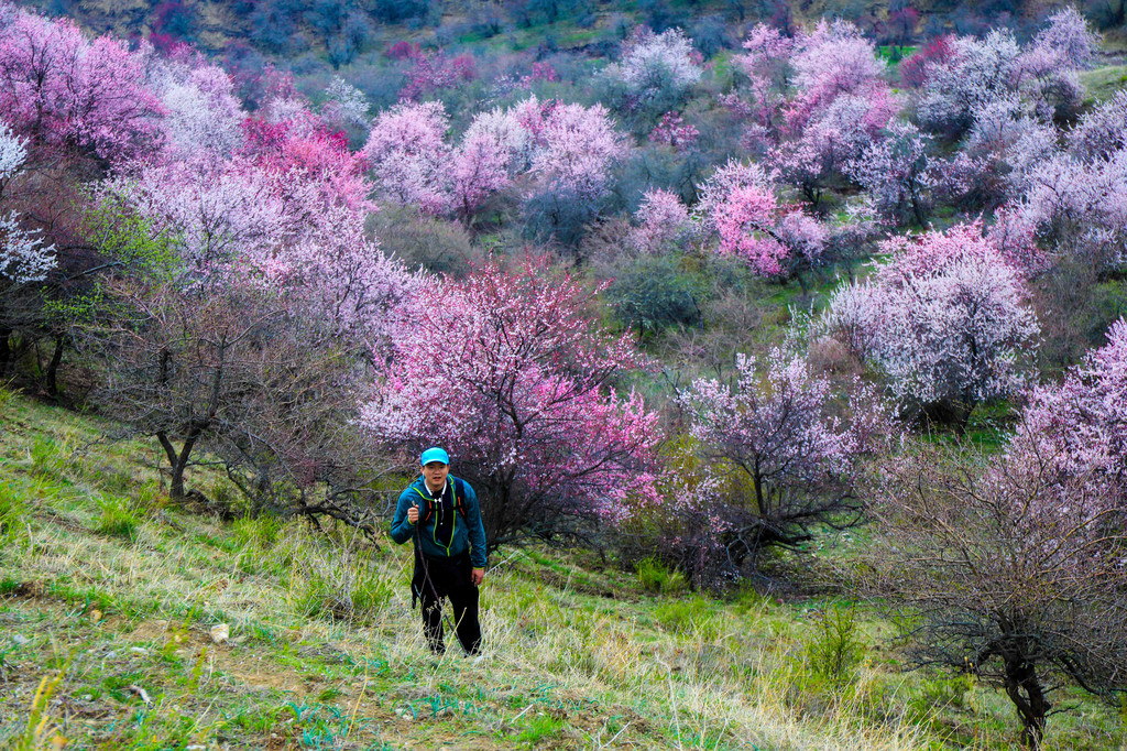 "塞外江南 花海之约"花海中穿越中华福寿山