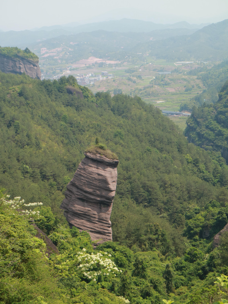 生命之根