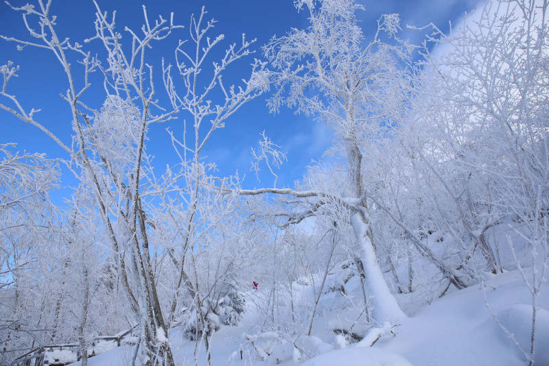 黑龙江的冰雪仙境,让摄影师惊艳,外星人惊叹