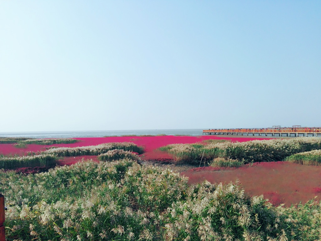 假期至盘锦红海滩,丹东鸭绿江,葫芦岛兴城海滨自驾放风之