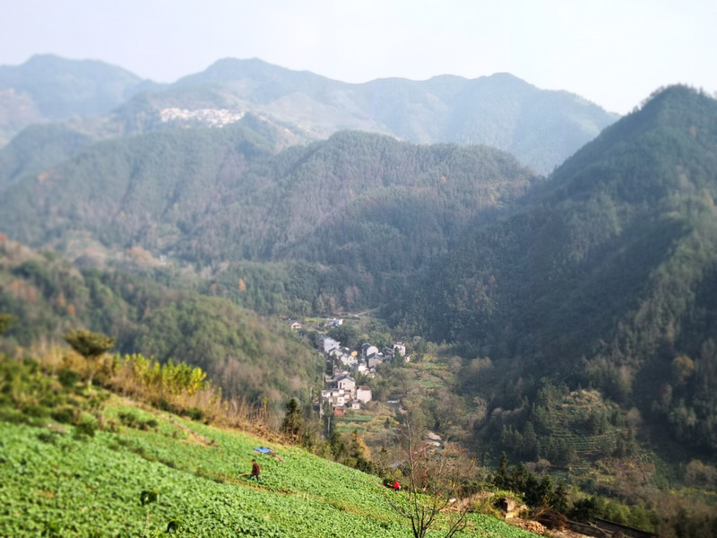 远眺湖岭村