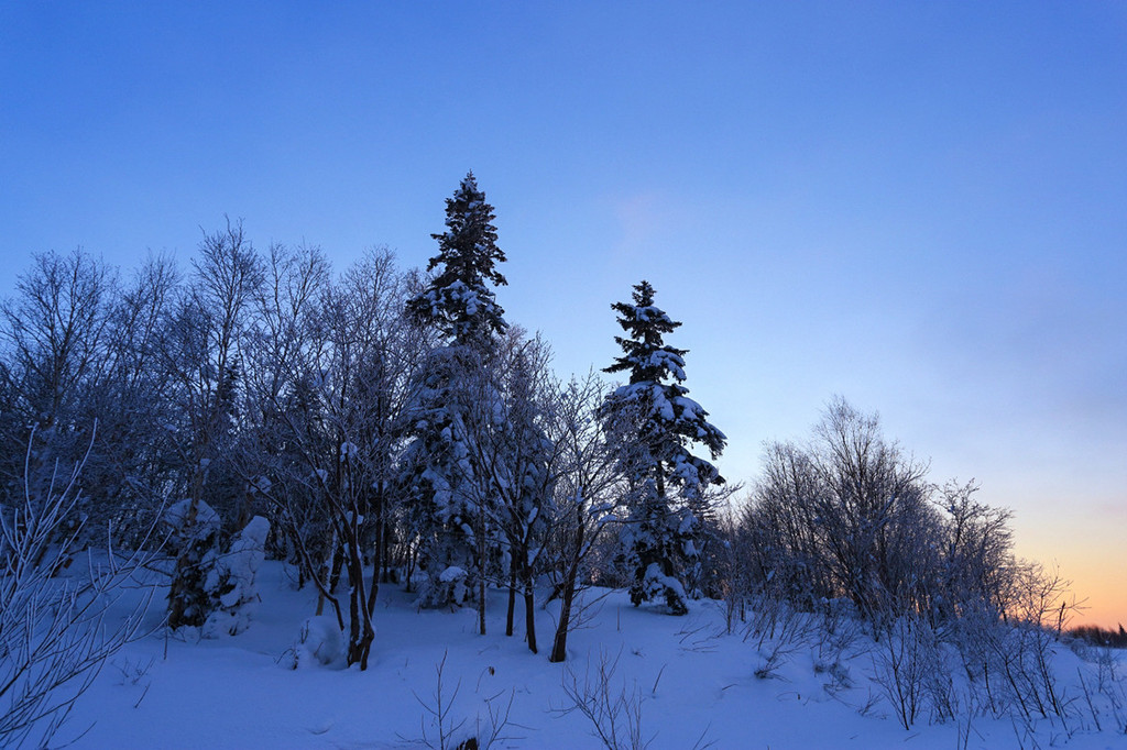 冬季到小兴安岭来看雪