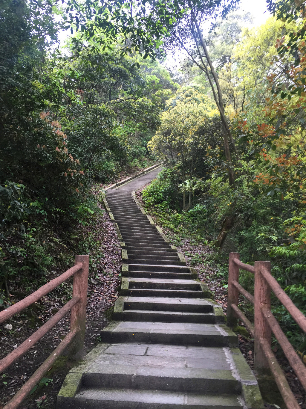 端午节爬山旅游推荐 l 最节约峨眉山旅游,带你走不一样的路