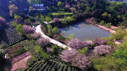 桐柏山淮源风景区