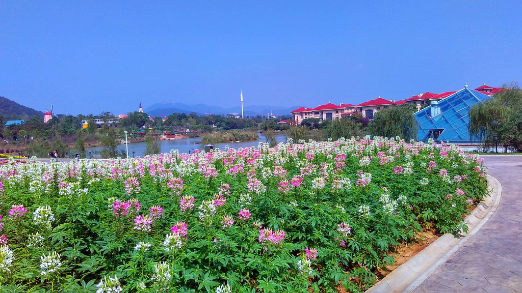 来常州花谷奇缘,体验慢节奏生活