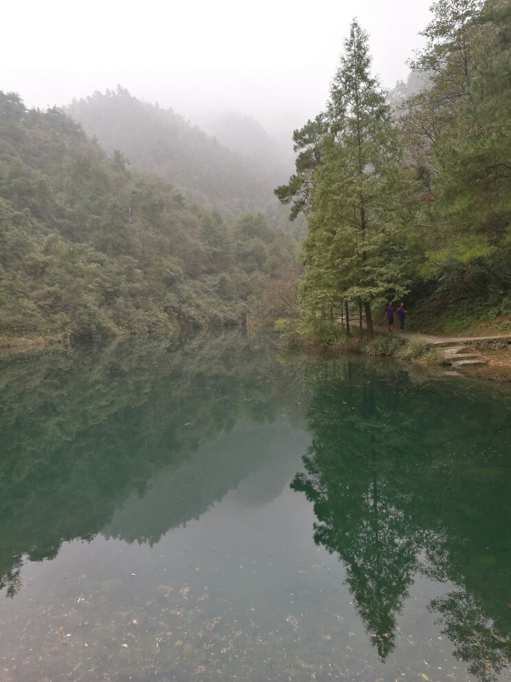 浙江桐庐大奇山国家森林公园