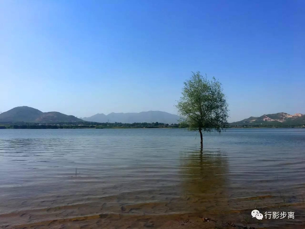 静美蟠龙湖 说起石家庄附近的大湖,岗南水库,黄壁庄水库,龙凤湖等,但