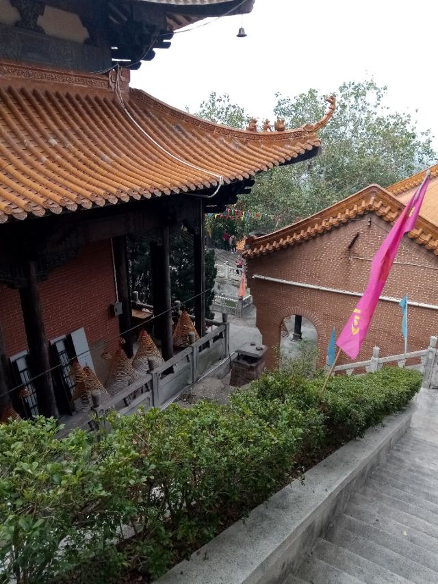 江门海会寺攻略,江门海会寺门票/游玩攻略/地址/图片