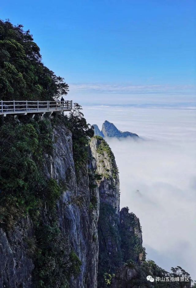 莽山·五指峰景区