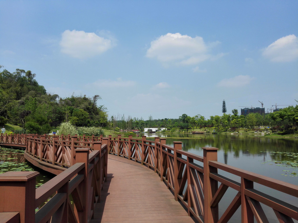 初夏的卧龙湖湿地公园 - 自贡游记攻略【携程攻略】