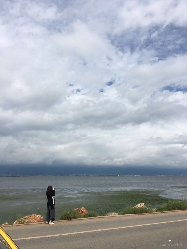 想起了一句诗:你站在桥上看风景,看风景的人在楼上看你,明月装饰了你