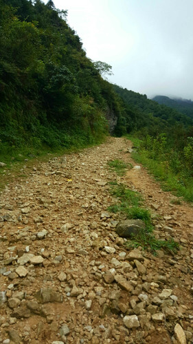 中秋月圆--寻找最美高山草原--武功山