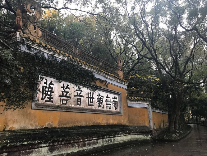         千年古刹,普济禅寺 普陀