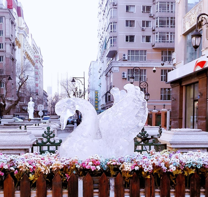 洁净世界哈尔滨&童话世界的雪乡