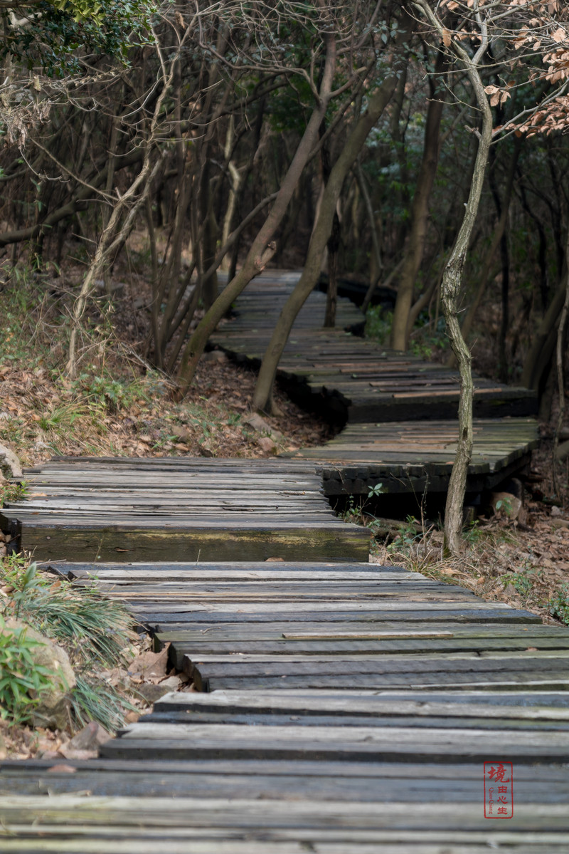 沿步行道登山