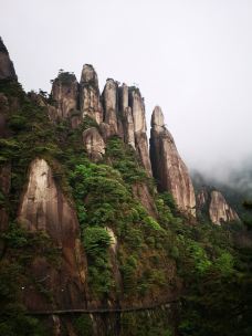 万笏朝天-三清山-strong钟