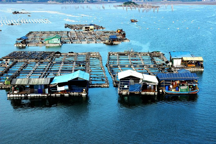 霞浦的"水上威尼斯"---海上渔排
