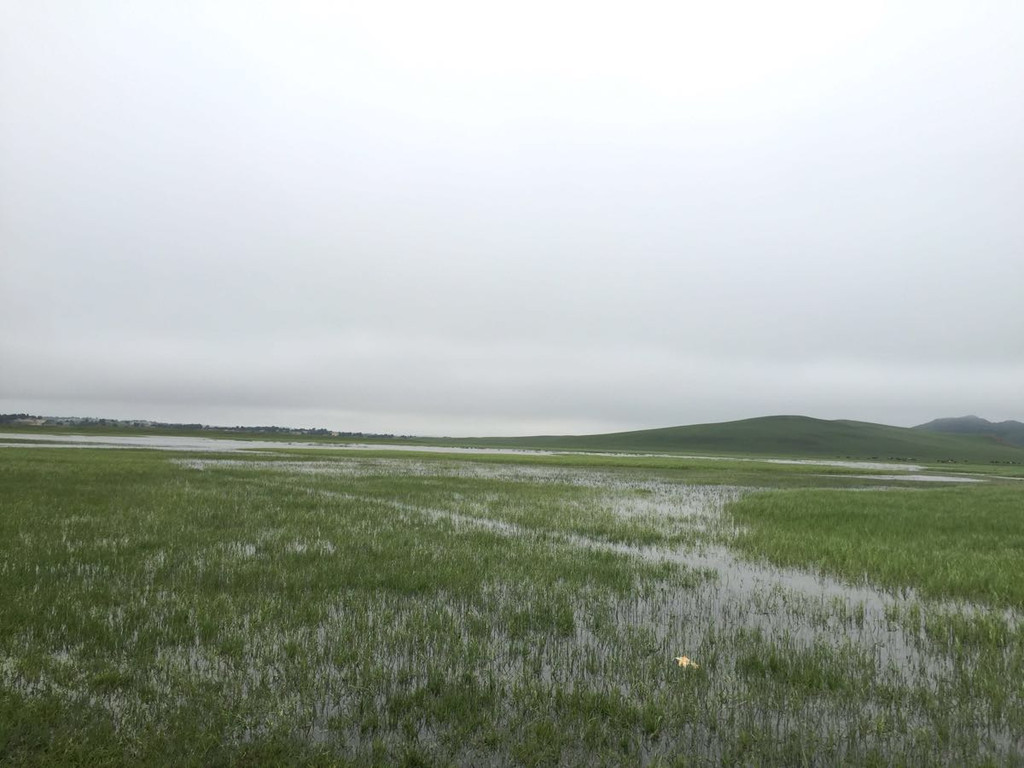 雨中奔跑草原历险