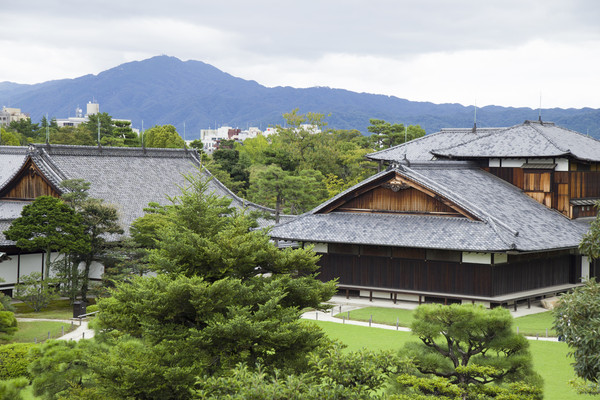 二条城里的建筑我甚是喜欢,是日本特色的古建筑,(之后却发现京都大