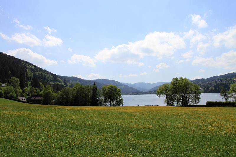 旅行在德国之五-阳光灿烂弗莱堡,山青水澈蒂蒂湖,田园