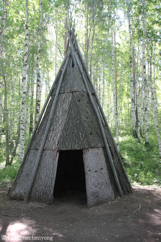 树林里,布里亚特人居住的房子,就是用树木搭建的三角形房屋.