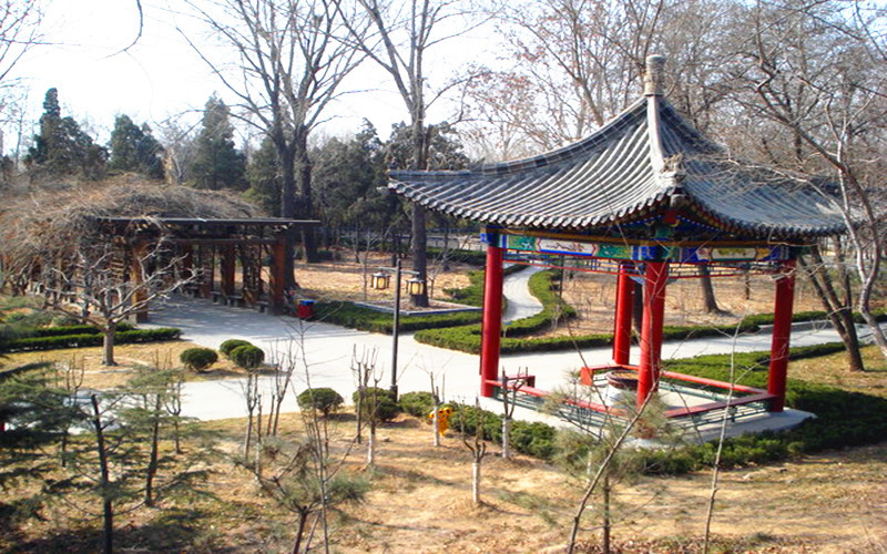 九龙湾公园
