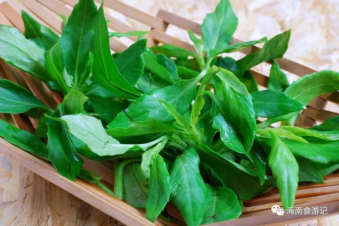 海南野菜的品种很多,具性的有五指山树菜,四棱豆,野芹菜,雷公笋