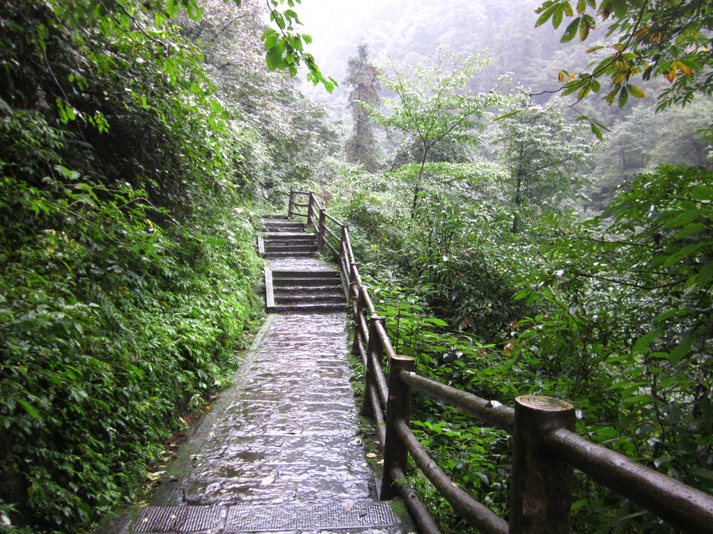 3天2夜徒步峨眉山(超牛攻略,嗨爆万佛顶)