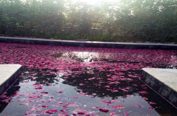 【携程团购】北京花溪花溪攻略美食,鄢陵许昌鄢陵团购手机温泉图片